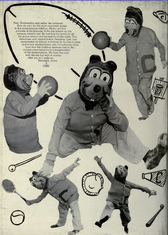 Archival scan: An archival collage of Oski in several poses. Photo credit: Photographer/artist uncredited in supplied scan.