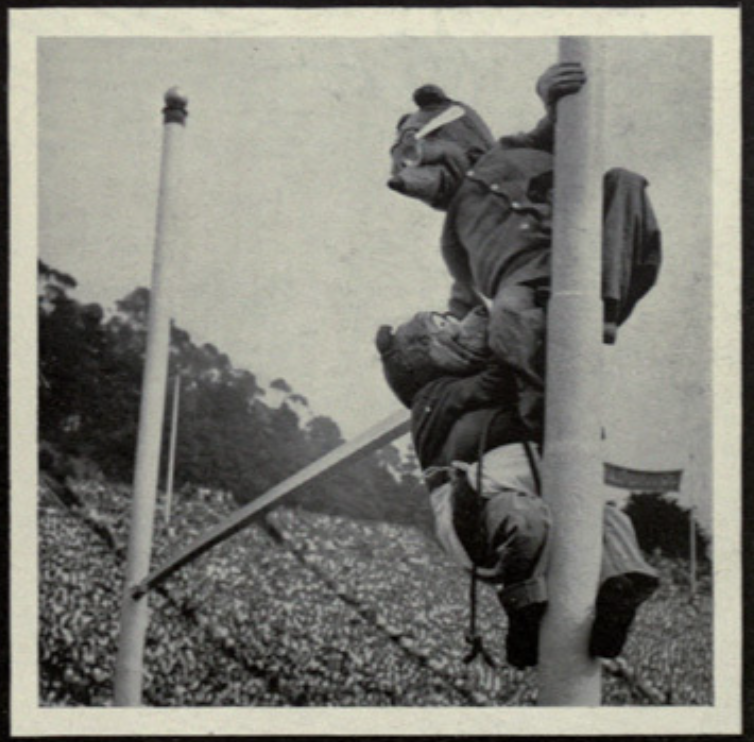 Archival scan: Oski with another bear figure on a goalpost. Photo credit: Photographer/artist uncredited in supplied scan.