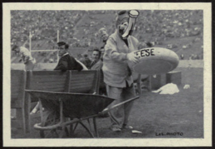 Archival scan: Oski with a wheelbarrow and a large cheese prop. Photo credit: Photographer/artist uncredited in supplied scan.