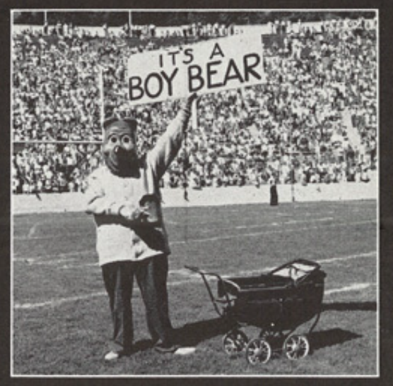 Archival scan: Oski holding an Its a Boy Bear sign beside a pram. Photo credit: Photographer/artist uncredited in supplied scan.