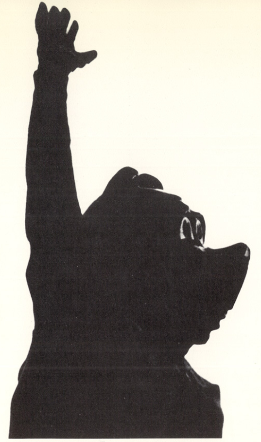 Archival scan: A dark silhouette of Oski waving. Photo credit: Photographer/artist uncredited in supplied scan.