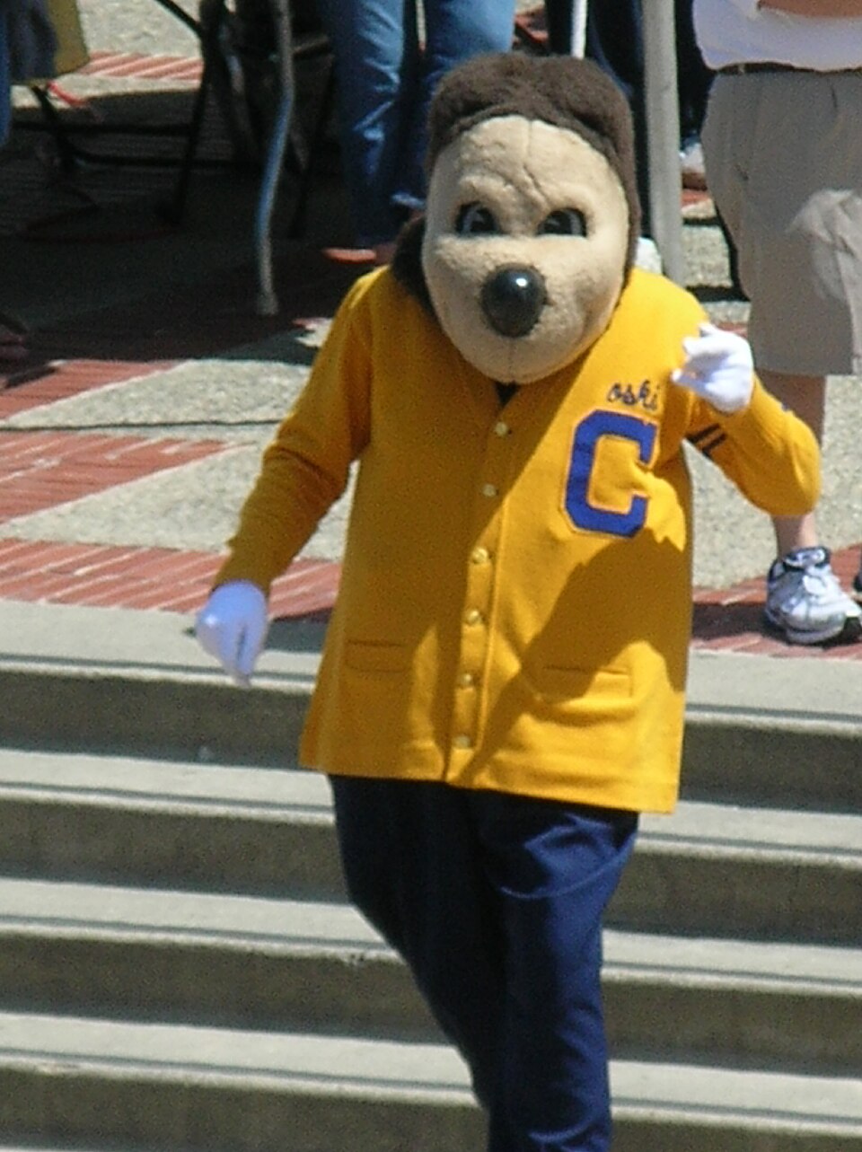 Oski faces the camera with one white-gloved hand raised on the campus steps. Photo credit: © BrokenSphere / Wikimedia Commons.
