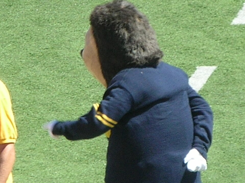Oski during the Cal–Colorado football game in 2010. Photo credit: © BrokenSphere / Wikimedia Commons.