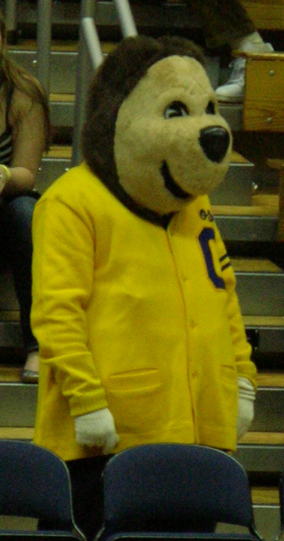 Oski at the 2008 Golden Bear Classic championship basketball game. Photo credit: © BrokenSphere / Wikimedia Commons.