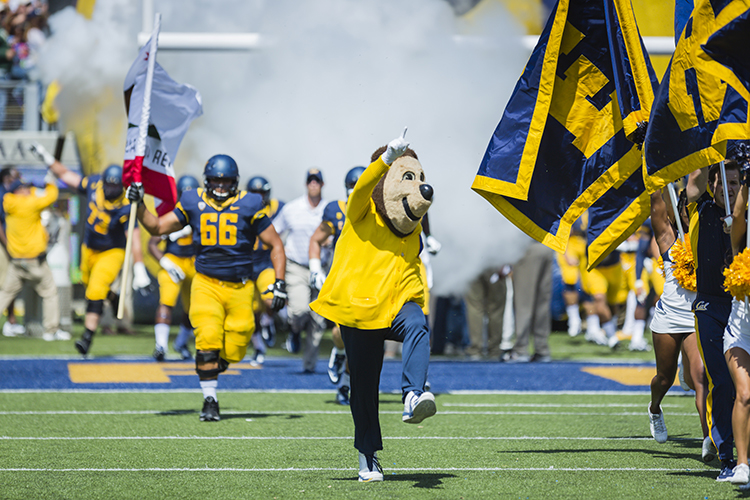 Oski high-stepping onto the field ahead of Cal football players. Photo credit: Leonard Chong / UC Berkeley.