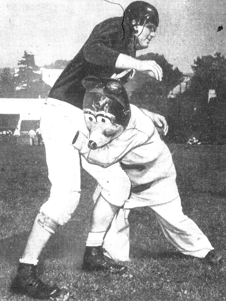 Black-and-white newspaper photo of Oski tackling football player Jim Turner. Photo credit: Unknown photographer / Los Angeles Daily News.