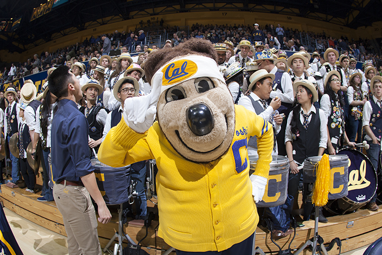 Oski raising one gloved finger in front of the Cal Band at Haas. Photo credit: Leonard Chong / UC Berkeley.